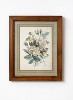 Ancienne gravure botanique - "Roses et pensées" avec Cadre en bois